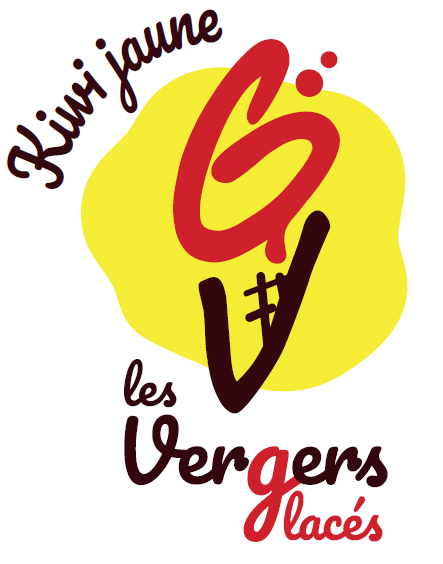 Sorbet Kiwi Jaune - 750ml