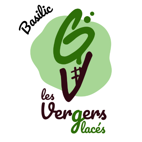 Sorbet Basilic - 750ml