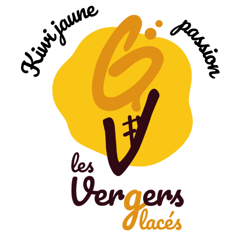 Sorbet Kiwi jaune & Passion - 750ml