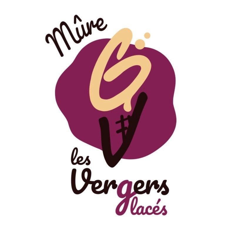 Sorbet Mûre - 750ml