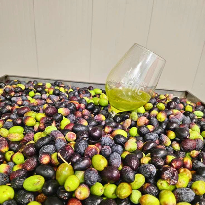 Huile d'olive Extra Vierge BIO "Bastoli"