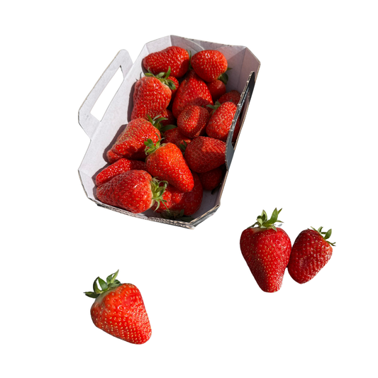 Fraises Cléry - Cat 1