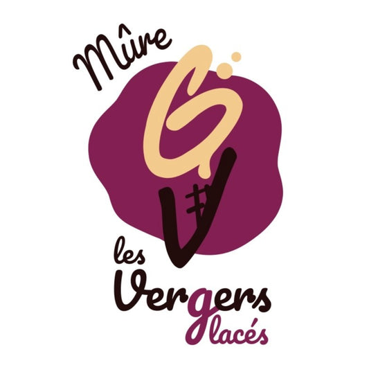 Sorbet Mûre - 750ml