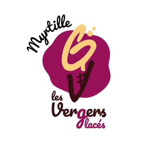 Sorbet Myrtille - 750ml