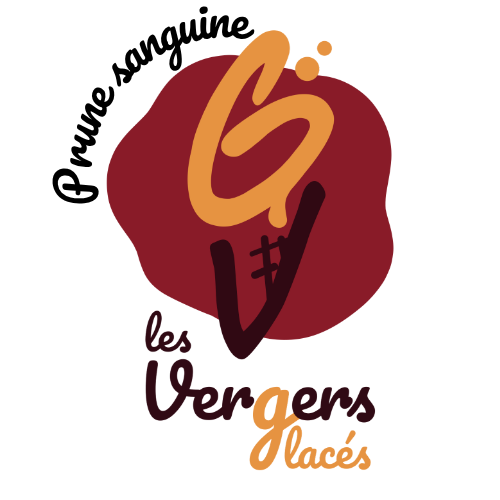 Sorbet Prune Sanguine - 750ml